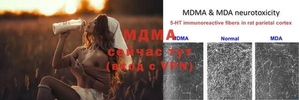 МДПВ Каменногорск