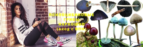 прущая мука Каменка