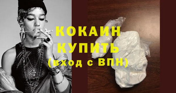 МДПВ Каменногорск
